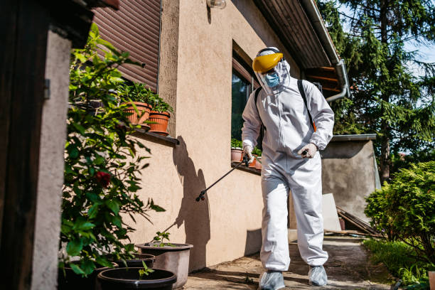 Best Mosquito Control Services  in Governors Clu, NC
