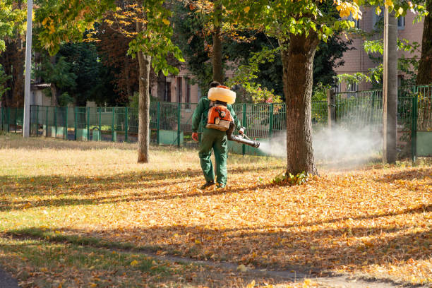 Best Best Pest Control Companies  in Governors Clu, NC