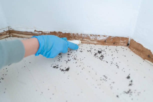 Best Best Pest Control Companies  in Governors Clu, NC